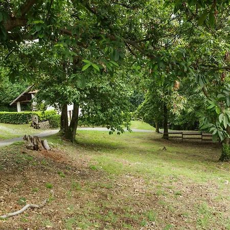 Vakantiehuis Peaceful In With Garden *